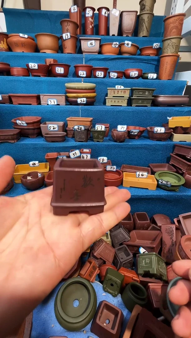 【闪购商品】紫砂 紫砂花盆3.5*3.5