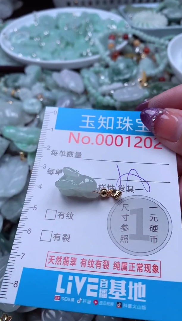 翡翠未镶嵌吊坠(不含链)1202