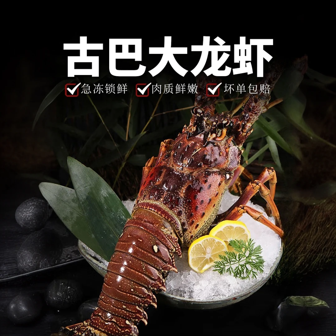 顺丰空运鲜活冷冻饱满大龙虾