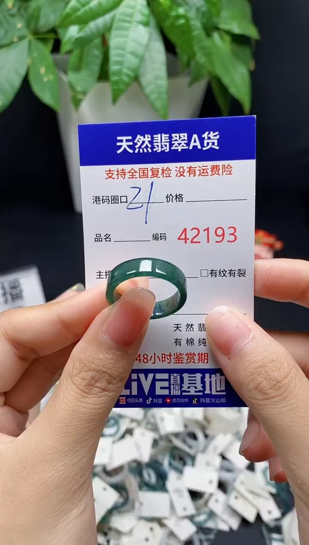 翡翠戒指未镶嵌 天然翡翠戒圈2193