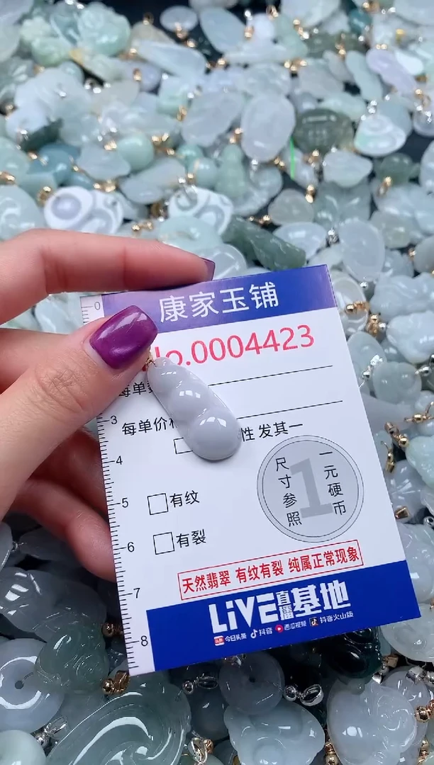 颈饰未镶嵌翡翠4423