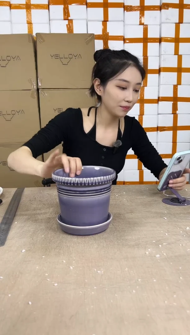 紫色带托盘16x14
