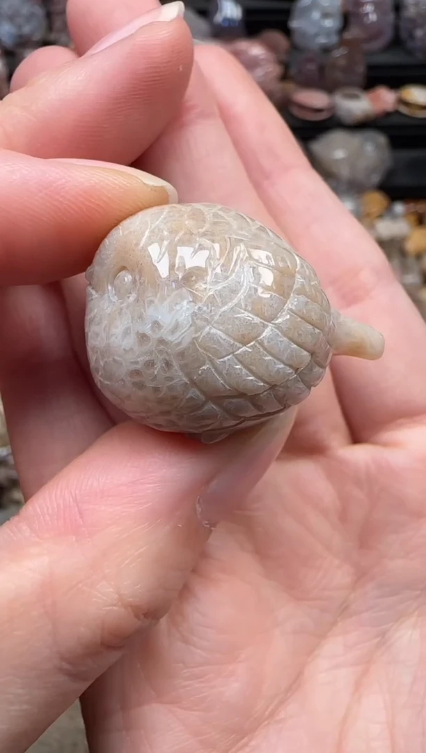 颈饰未镶嵌硅化珊瑚（珊瑚玉）768