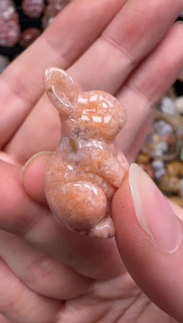 硅化珊瑚（珊瑚玉）未镶嵌颈饰347