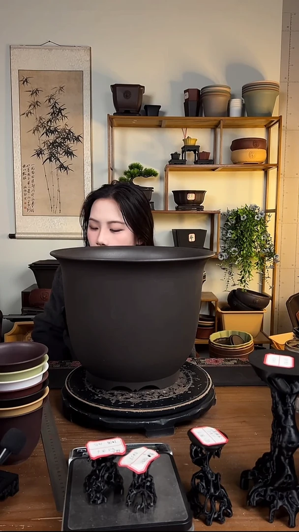 35*27金钟紫檀色2只装