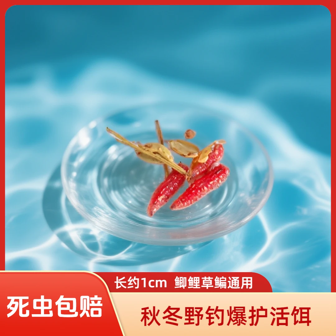 红蛆虫150条钓鱼饵料户外垂钓鲫鱼鲤鱼鳊鱼红黄尾黄辣丁罗非鱼饵