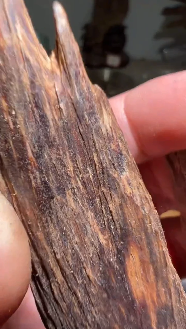 【闪购商品】沉香沉香碎屑加里曼丹49克