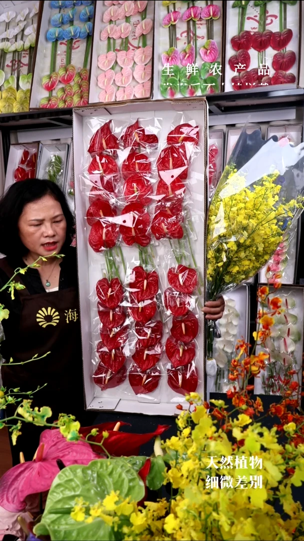 红掌30支小掌+B级跳舞兰1束，微瑕无售后