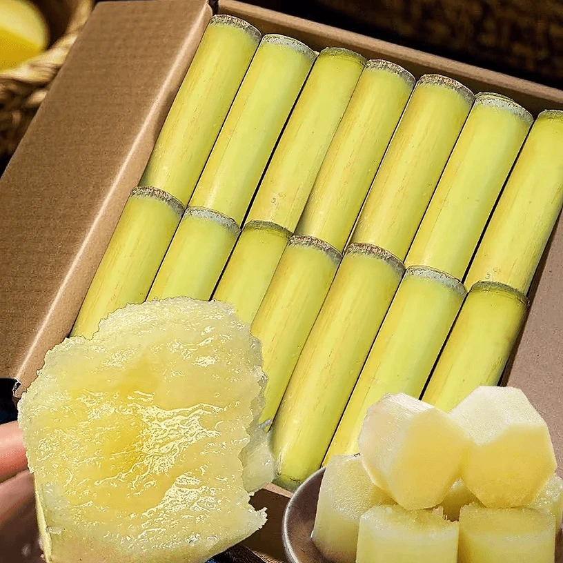 云南新鲜黄金甘蔗  现砍现发 应季上市水果 脆甜多汁 产地直发