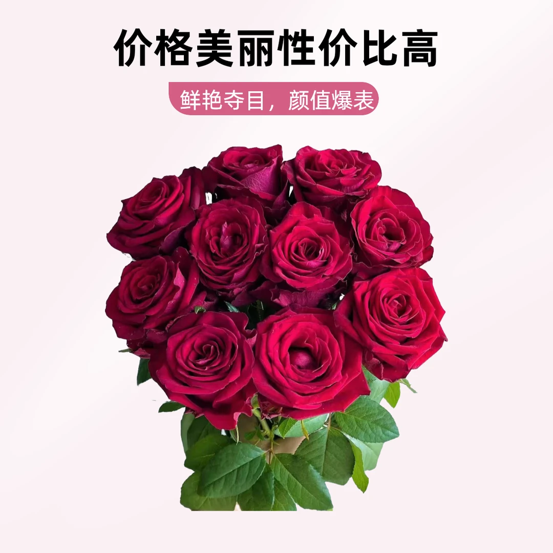 【年宵花】多种单头玫瑰【把春天搬回家】散花家居水养玫瑰花一扎20枝（1-3支损耗属于正常）鲜花同城小时达