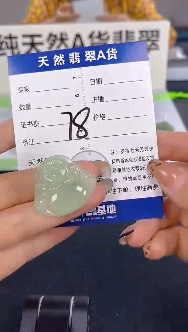 颈饰未镶嵌翡翠纯天然缅甸翡翠A货