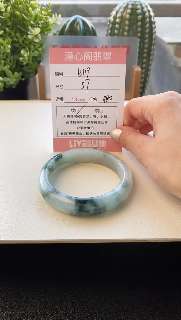 颈饰未镶嵌翡翠圈口57编码B119