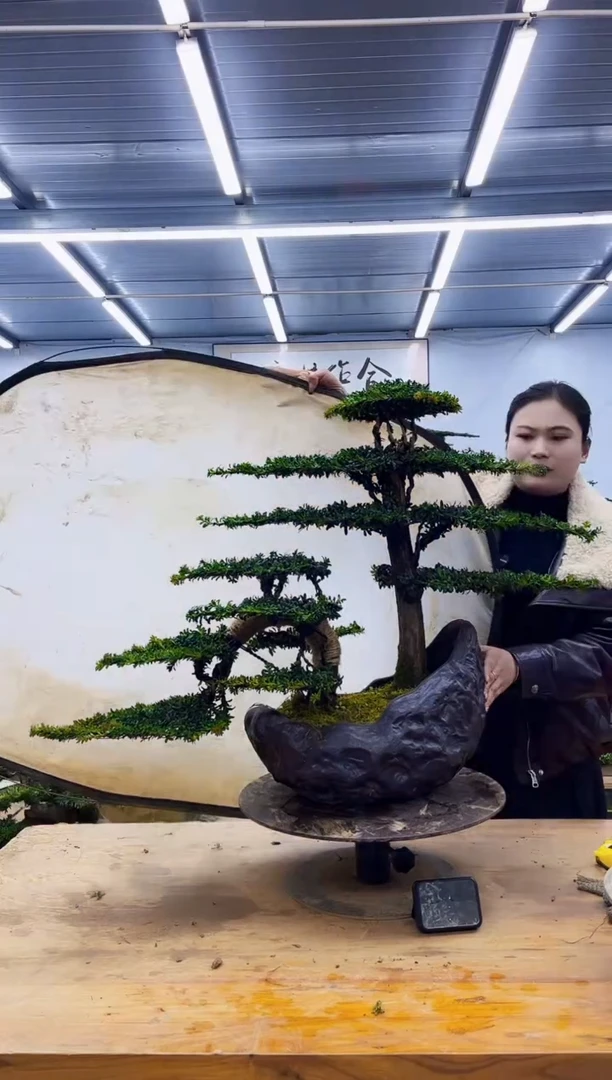 无花朵是**一一物一拍，所见即所得