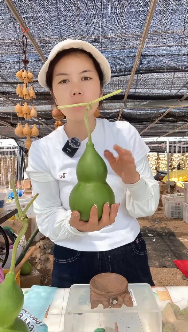 641天然葫芦摆件 一物一拍龙头不保售后