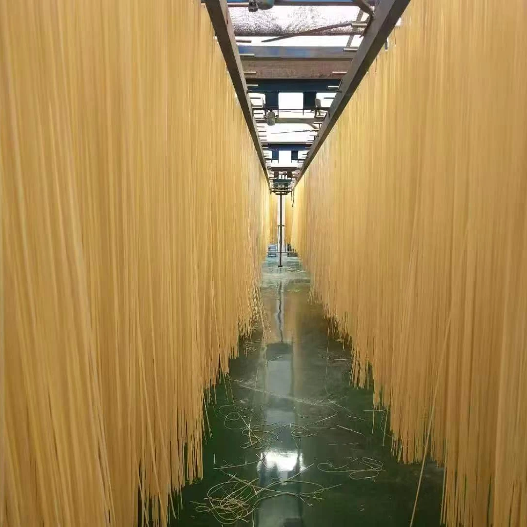 减水二刀古蔺挂面特产细面龙须面挂面营养美味自然晾晒