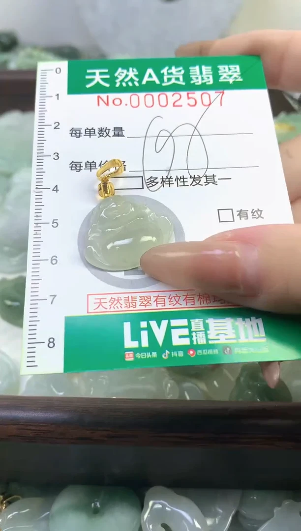 颈饰未镶嵌翡翠天然A货翡翠