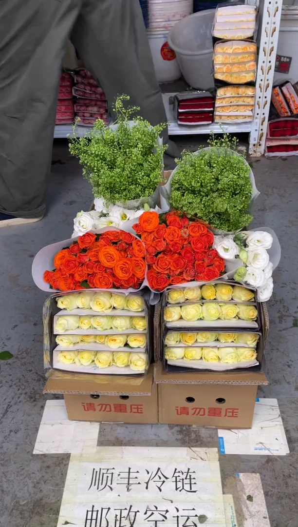 奶油杯20枝+橙色芭比10枝+白桔梗400克+绿林草