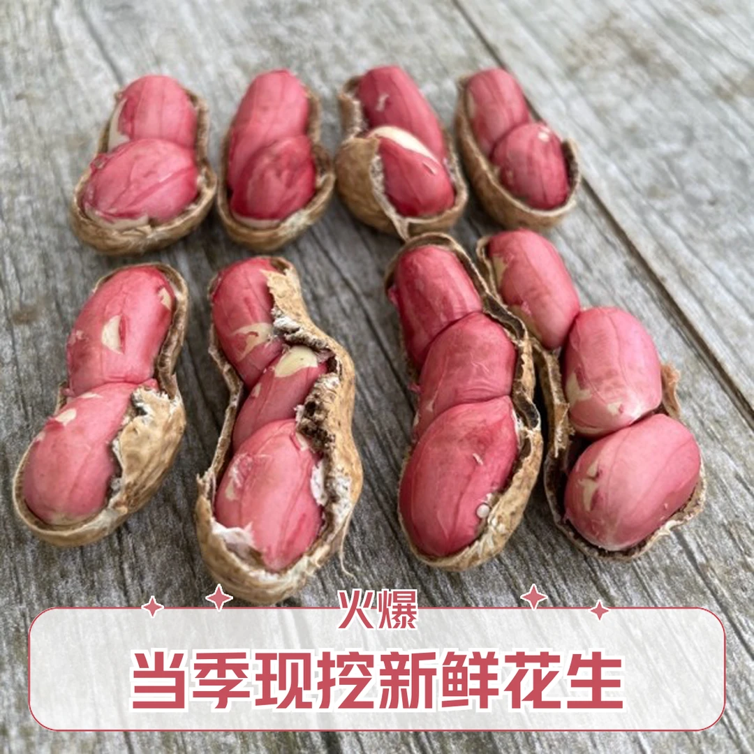 【水果花生生花生】2025当季现挖新鲜带壳湿水果甜农家自种蔬菜花生