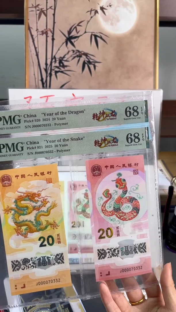 塑料 乾坤双龙龙蛇全同 大司令PMG68分组J000070332五龙珠三对子