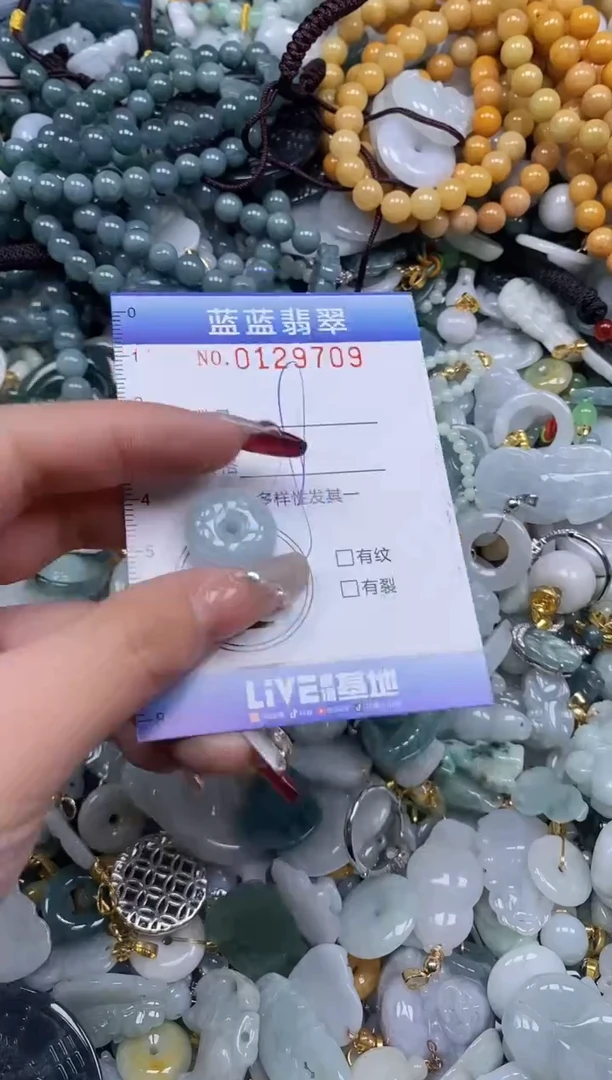 【闪购商品】翡翠颈饰未镶嵌闪购0129709