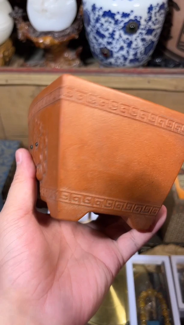 黄杨木111111111111111111