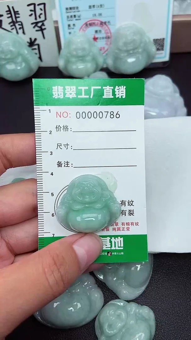 颈饰未镶嵌翡翠缅甸天然翡翠0786