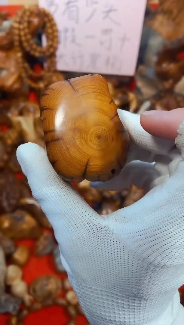 柏木25崖柏崖柏崖柏