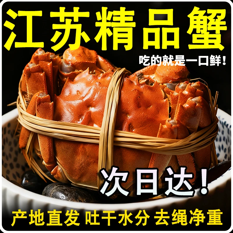【活蟹】江苏精品大闸蟹全母蟹母3.5-3.2两加2只到手8/6只精品礼盒装G3