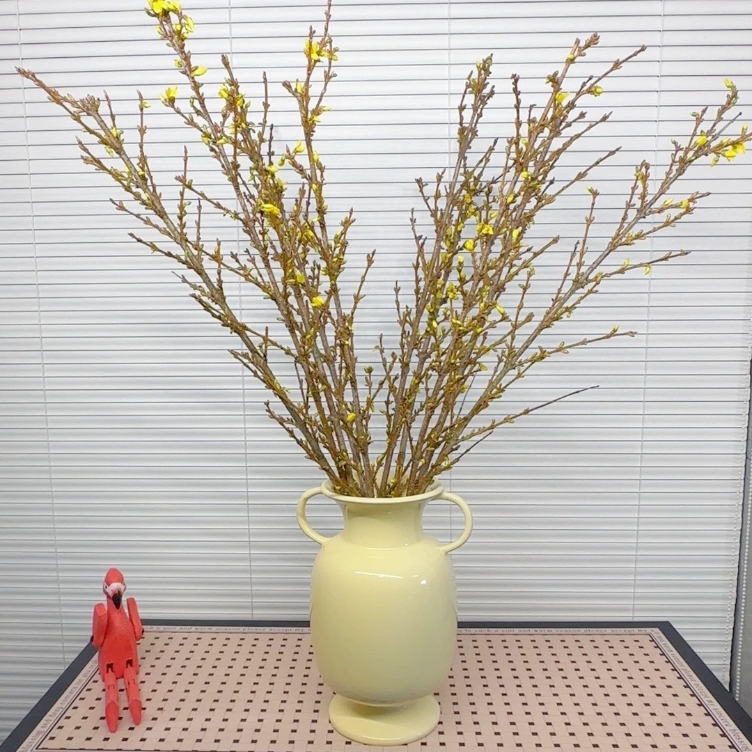 【寻花岛】进口花材寸寸金水培鲜切枝高端花材年宵花包邮