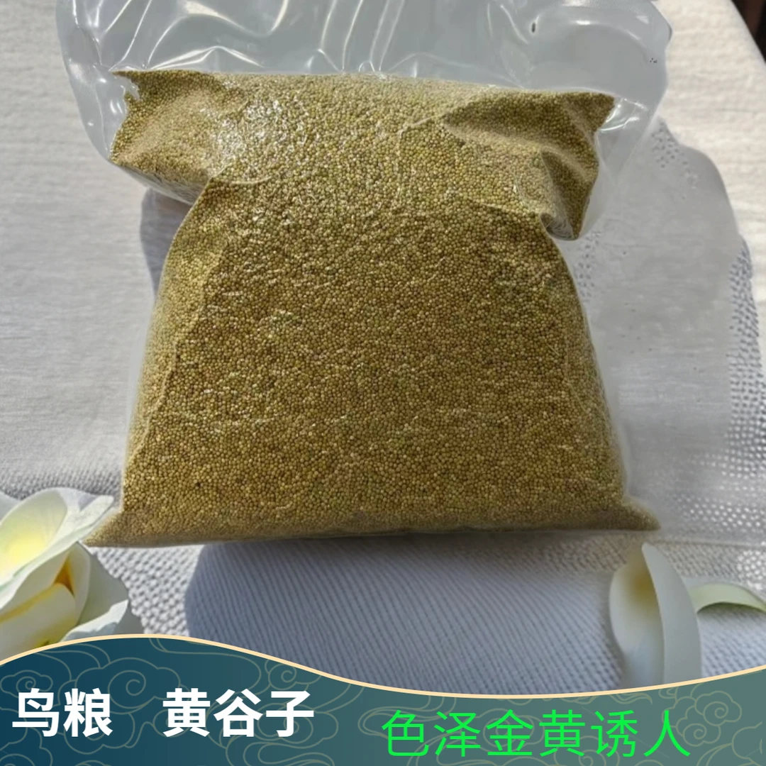 2斤黄谷子（鸟粮）鹦鹉专用鸟食