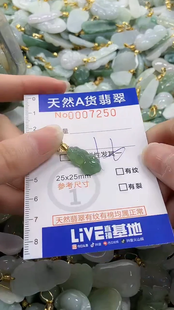 颈饰未镶嵌翡翠纯天然a货翡翠