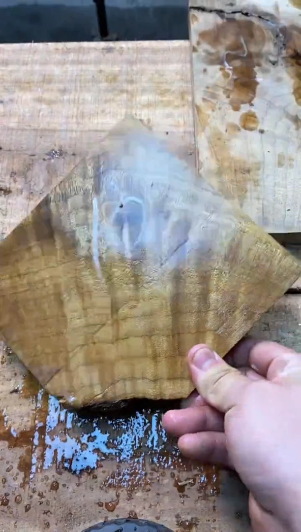 蓝*金丝楠小叶桢楠1