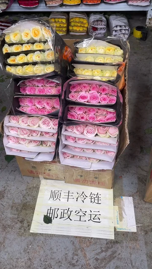 粉红20枝+洛神20枝+奶油杯20枝