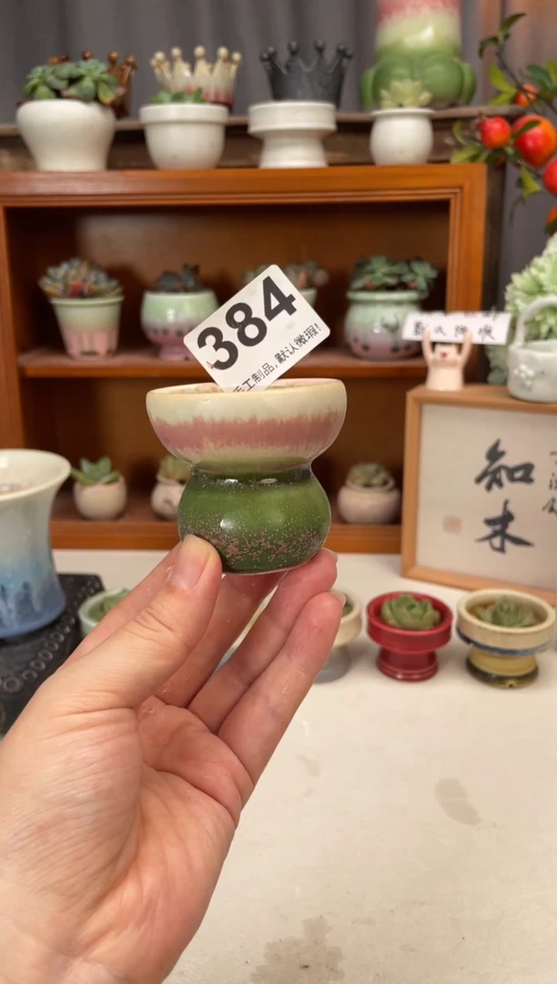 瓷片384知木小芳花盆直播编号