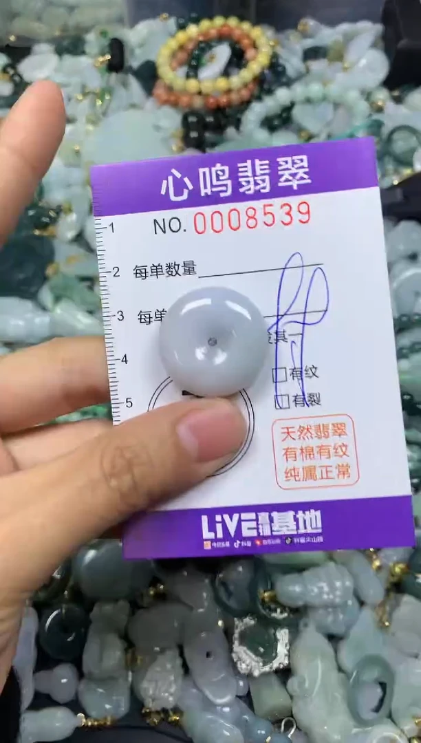 【闪购商品】翡翠颈饰未镶嵌闪购008539