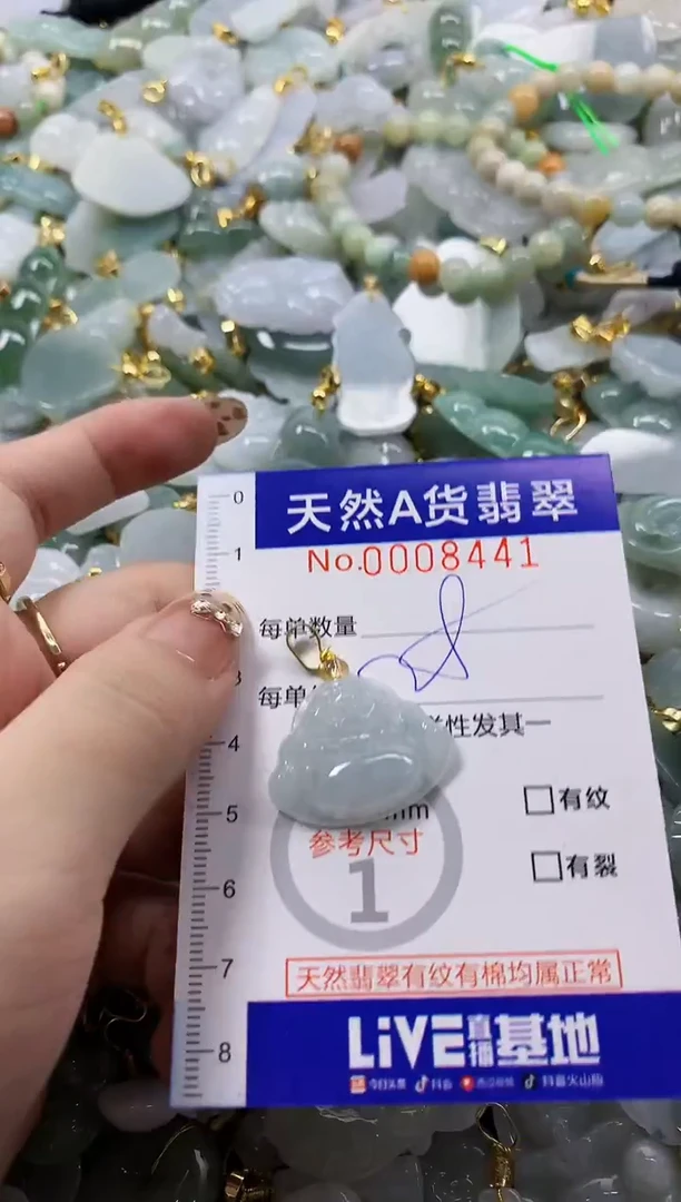 颈饰未镶嵌翡翠天然A货翡翠