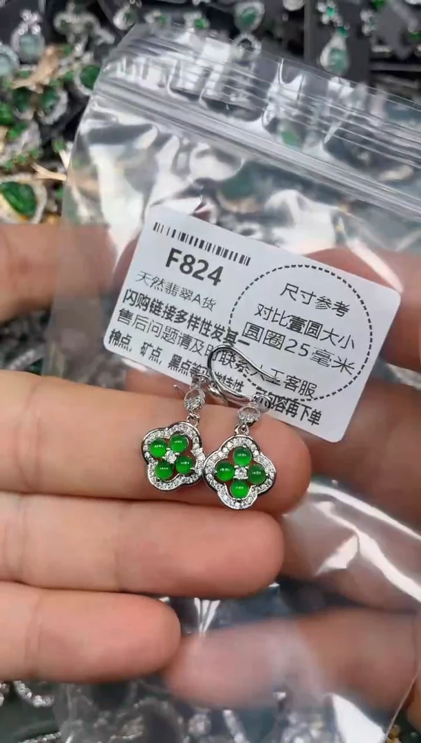 颈饰未镶嵌翡翠F824耳钩