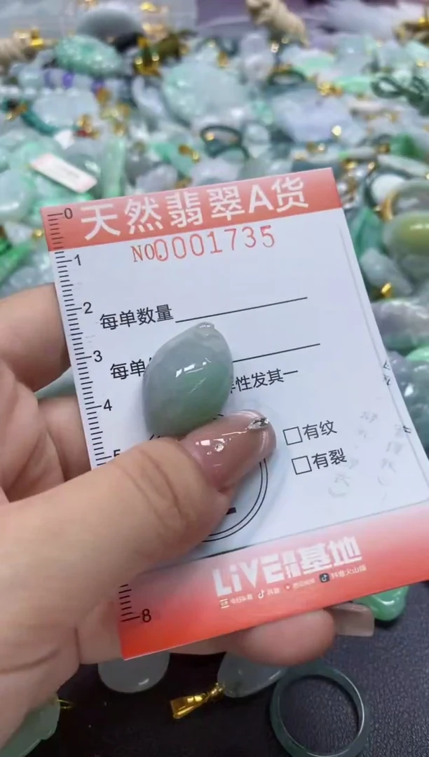 翡翠未镶嵌颈饰闪购0001735
