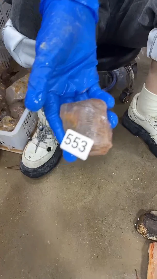 未镶嵌珠宝半成品水晶骸骨骨干水晶-553