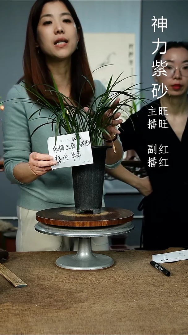 紫砂花盆6072 紫砂花盆紫砂