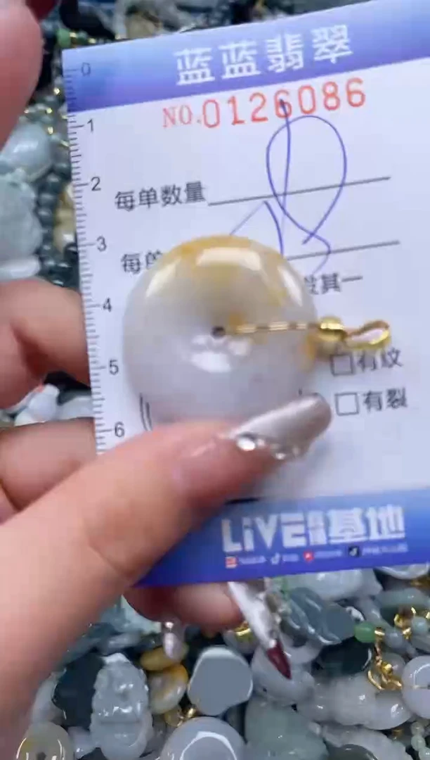 【闪购商品】翡翠颈饰未镶嵌闪购0126086多样性发其一