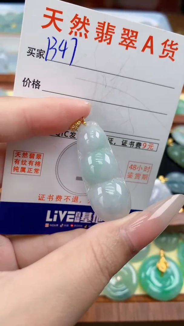 颈饰未镶嵌翡翠天然A货翡翠挂件