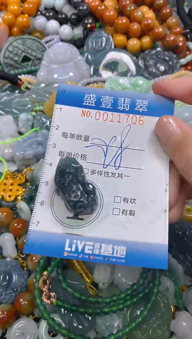颈饰未镶嵌翡翠闪购0011706