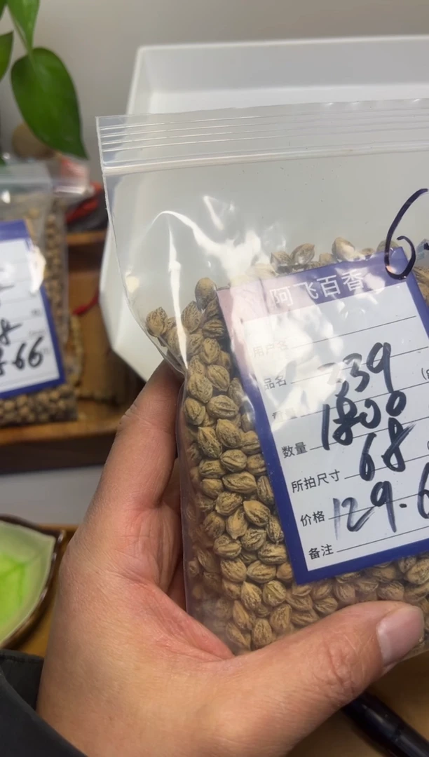 【闪购商品】柏香籽/百香籽吊坠129.6