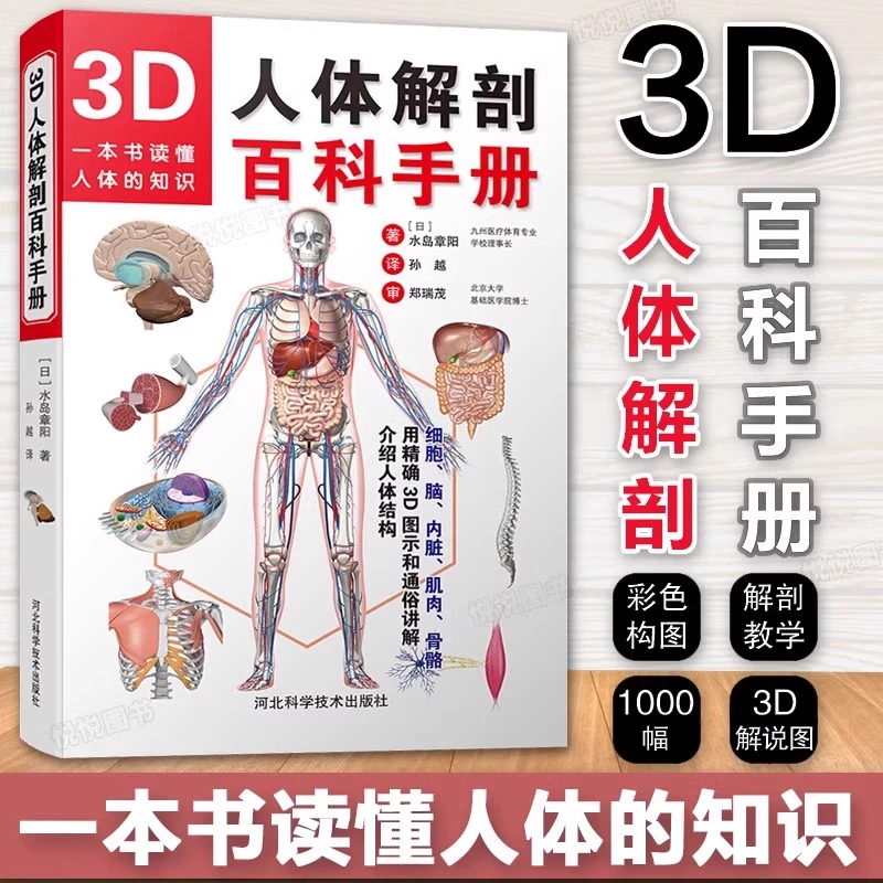 Z3D人体解剖百科手册 人体解剖学彩色学图谱 入门书 解剖学书籍
