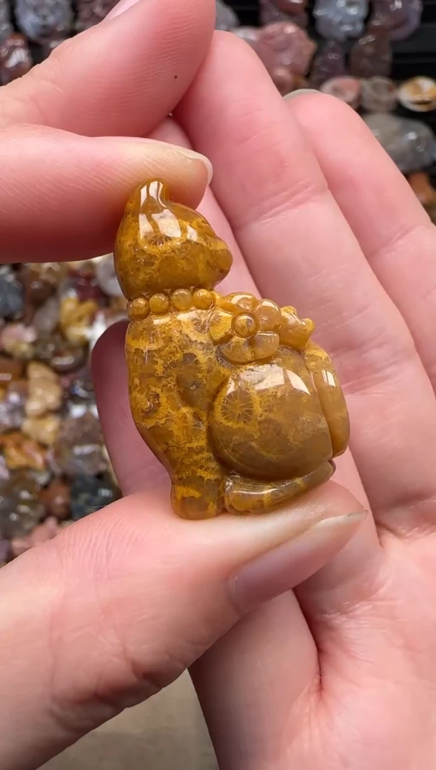 颈饰未镶嵌硅化珊瑚（珊瑚玉）480