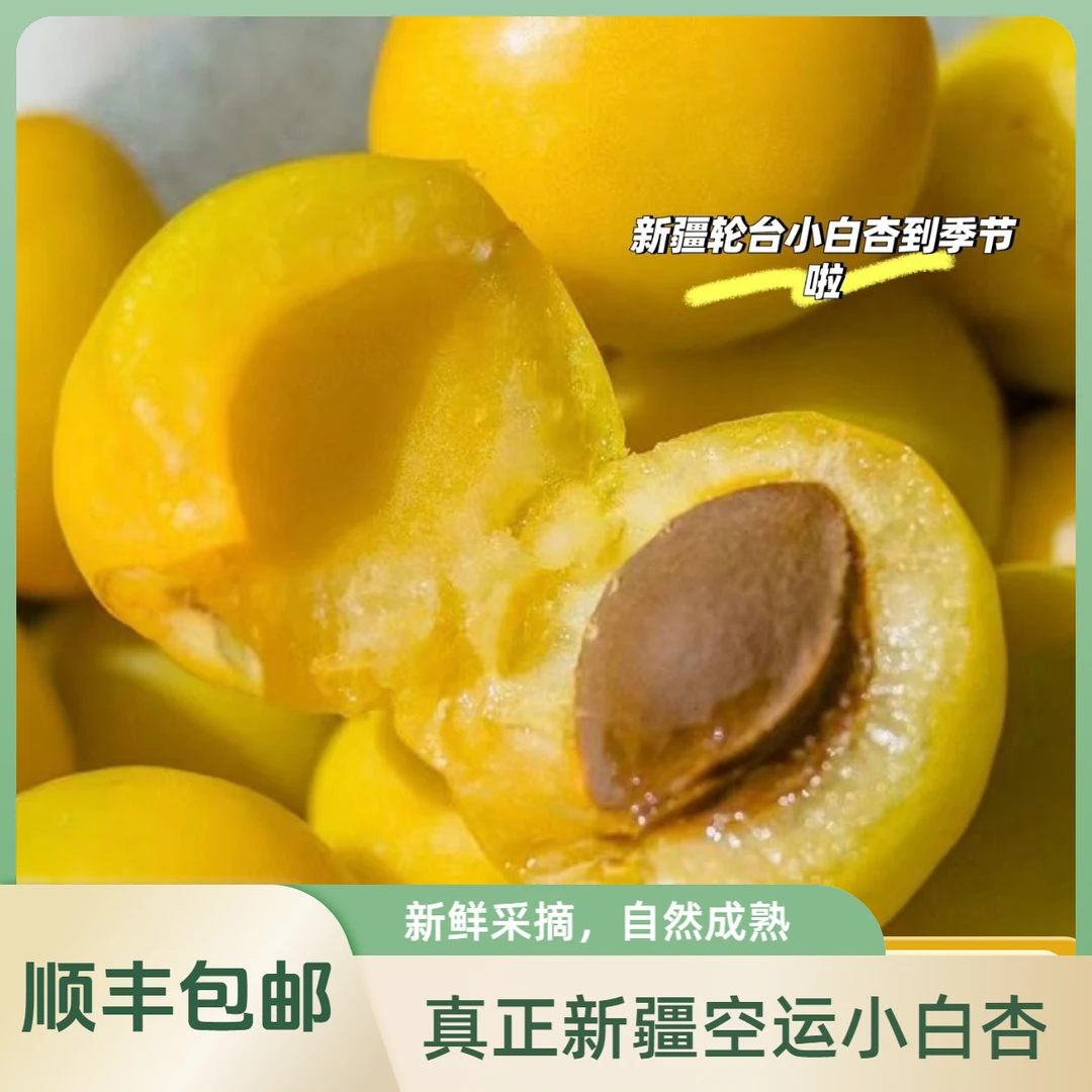 （沈阳发货）新疆正宗轮台小白杏（新疆空运货）大果 顺丰包邮 杏同城配送杏子同城送新疆维吾尔自治区