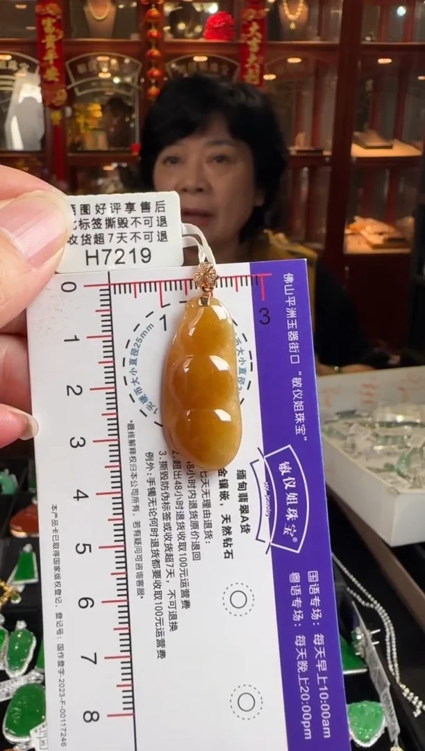 颈饰18K金镶嵌翡翠H7219冰黄富贵豆