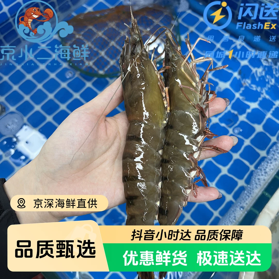 鲜活黑虎虾 多规格可选 保鲜不保活