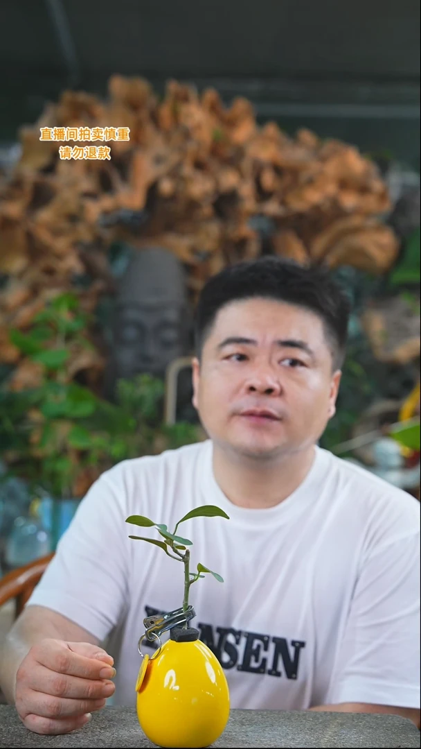 完全开放菩提440T
